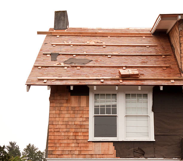 Best Storm Damage Siding Repair  in Riley, KS